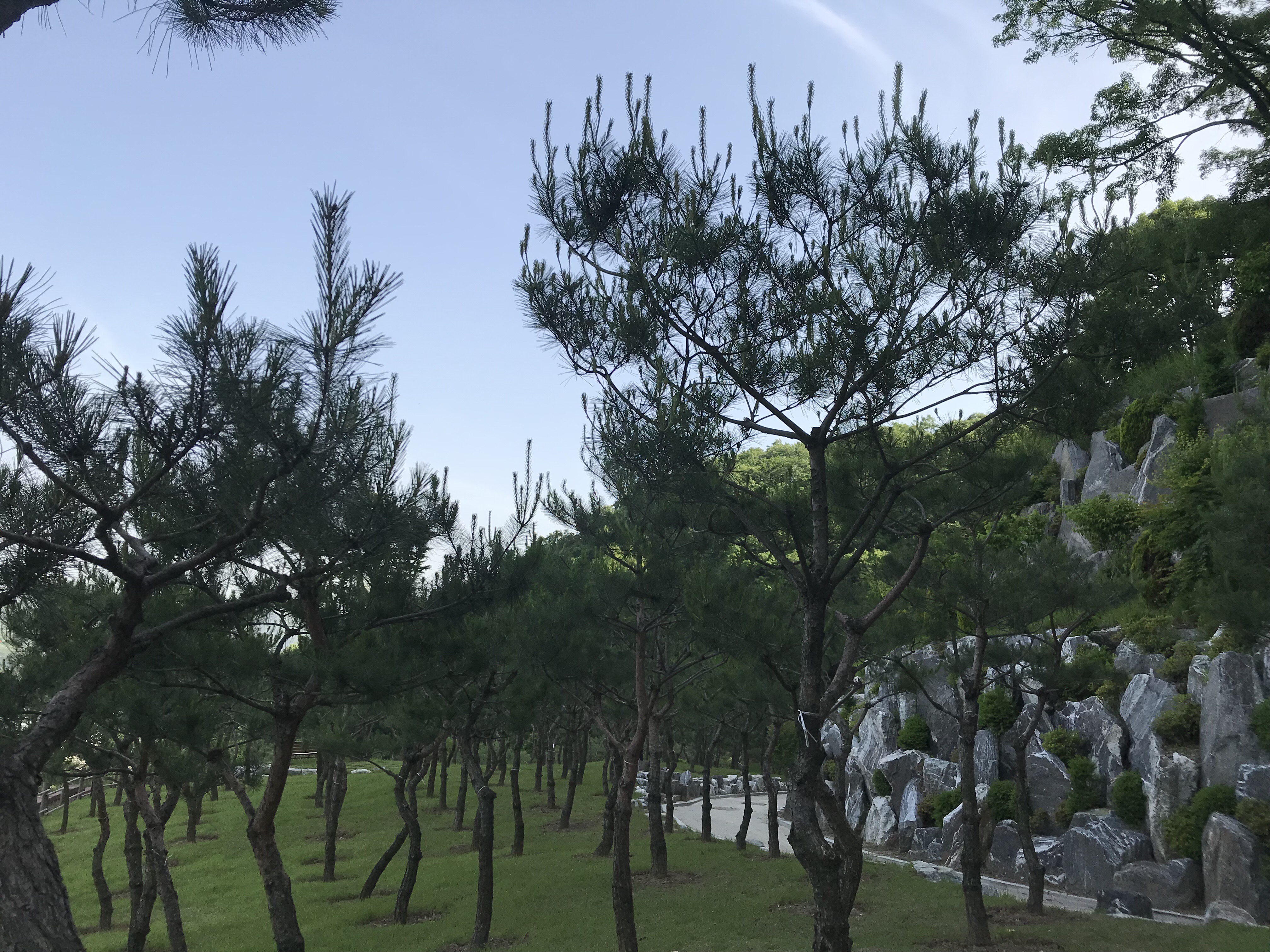KakaoTalk_20180528_093328956.jpg