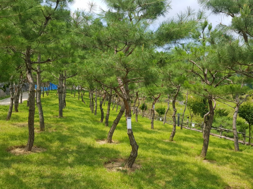 KakaoTalk_20180717_141056694 - 복사본.jpg