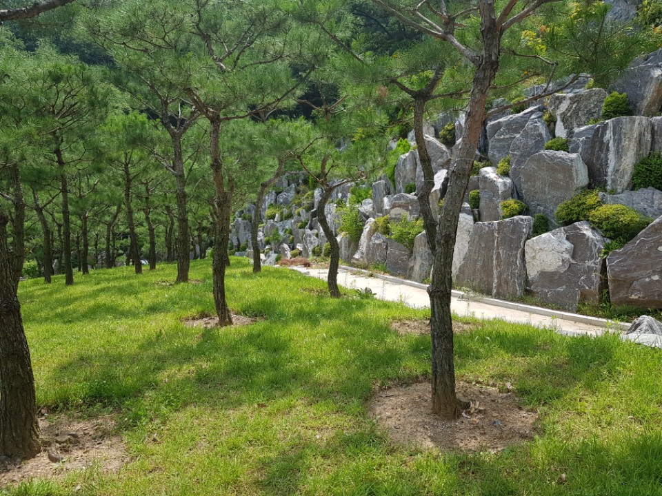 KakaoTalk_20180717_141055163 - 복사본.jpg