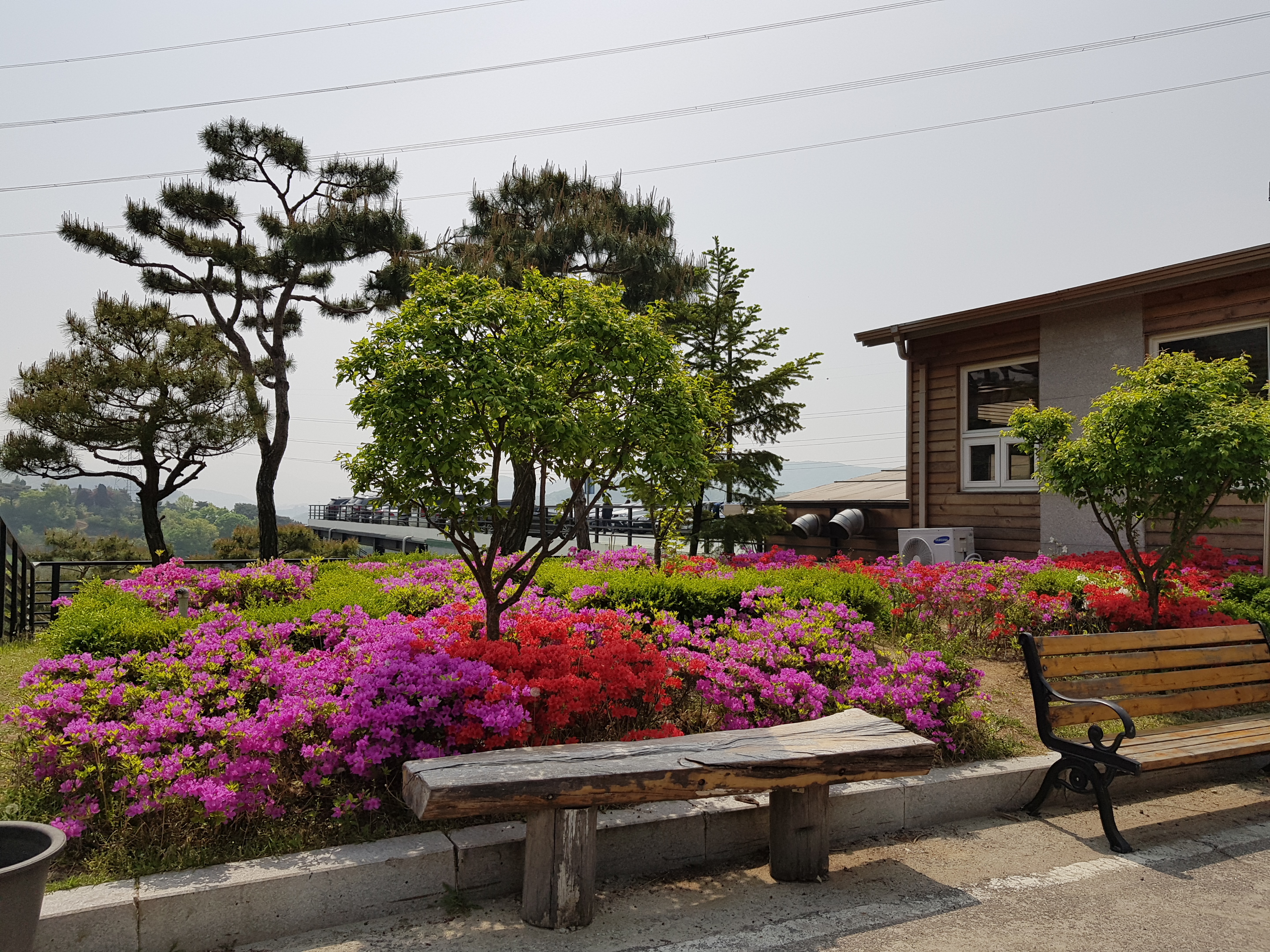 20190504_105524.jpg