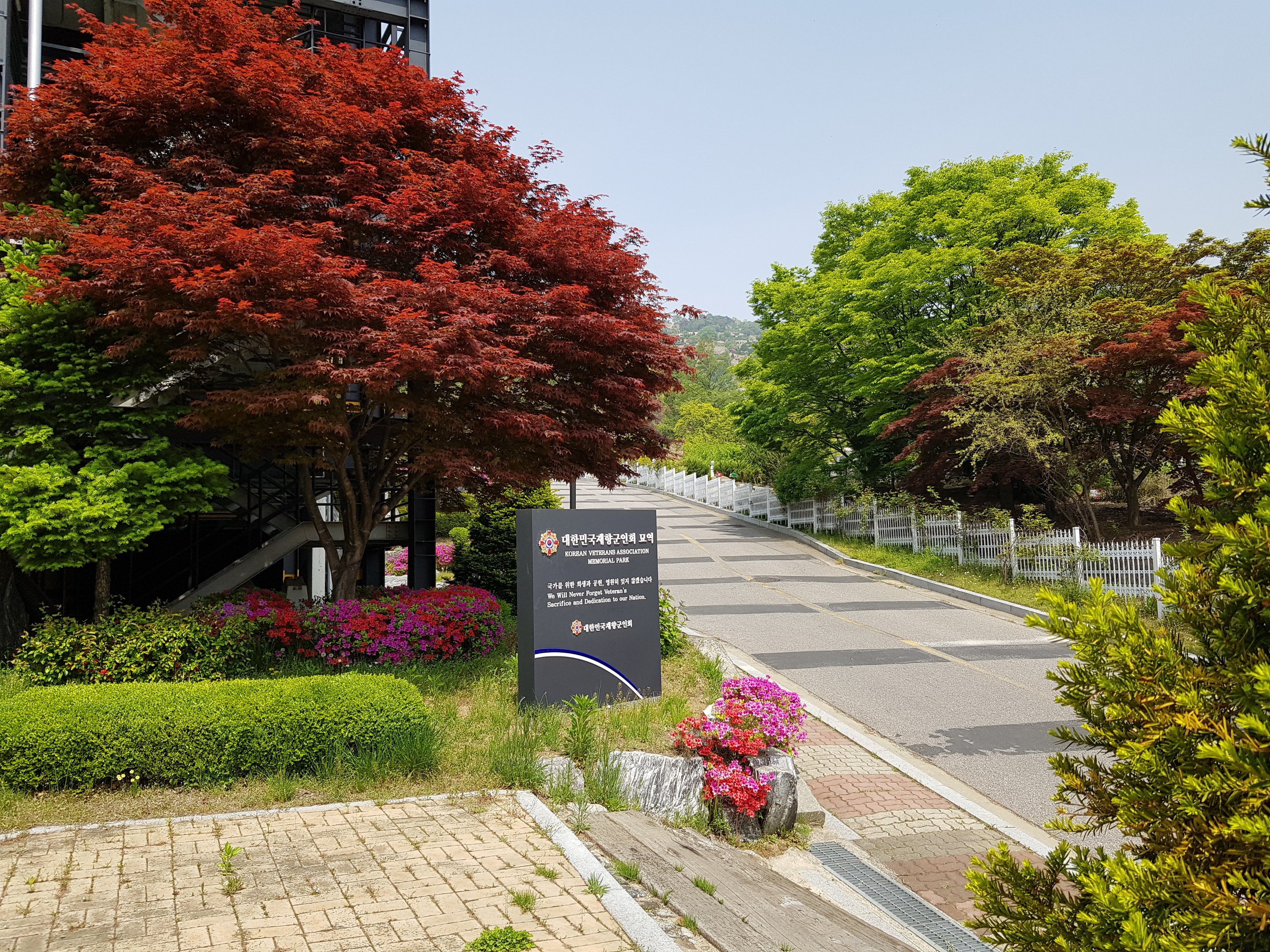 20190504_110133.jpg