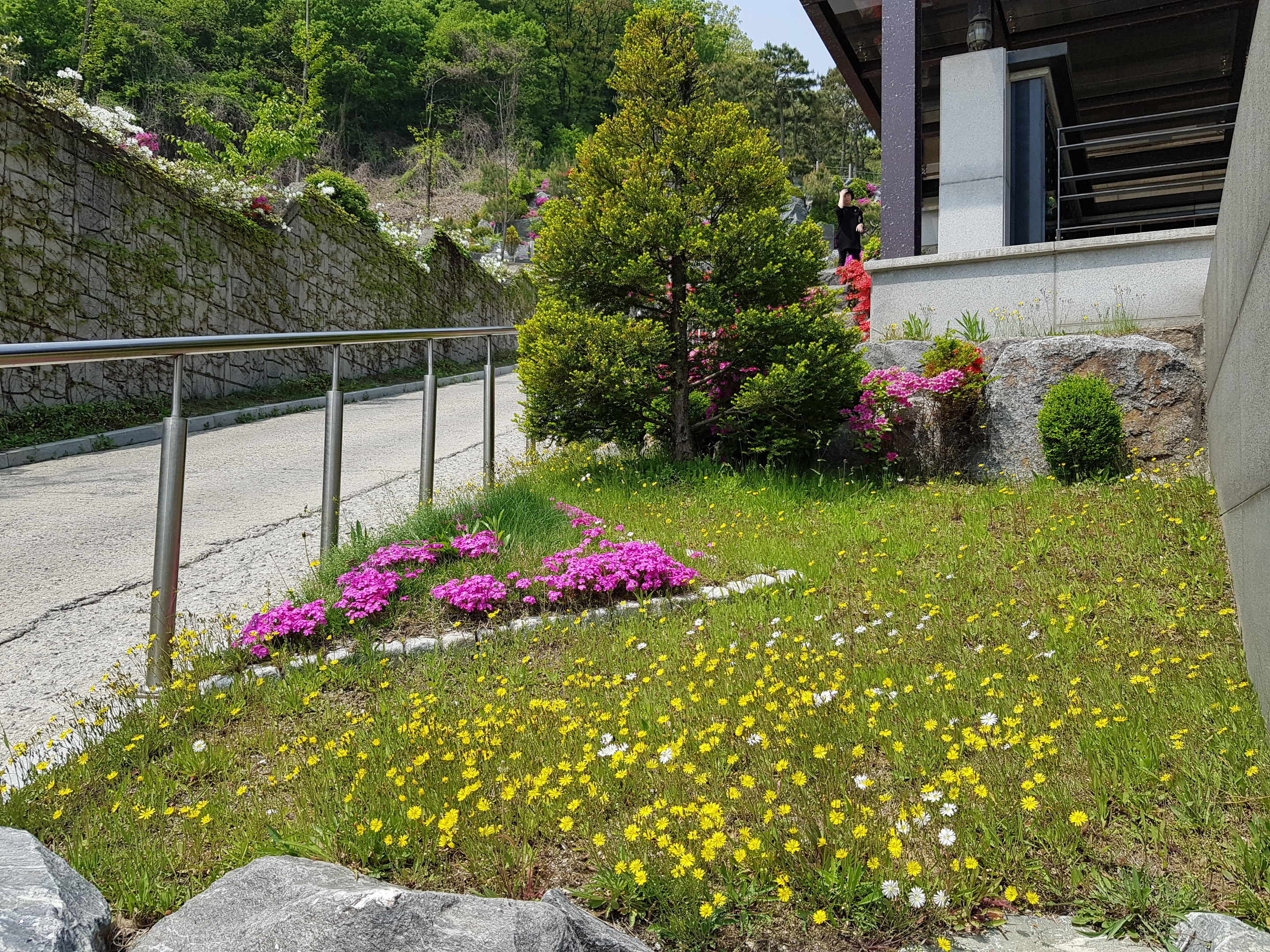 20190504_112536.jpg