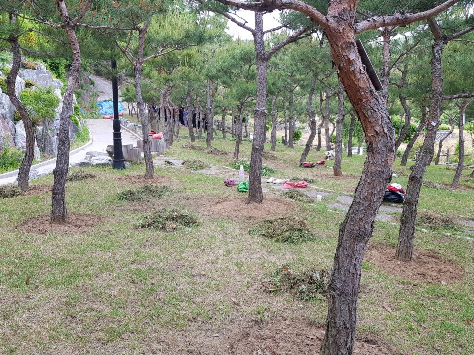 KakaoTalk_20190525_165355132.jpg