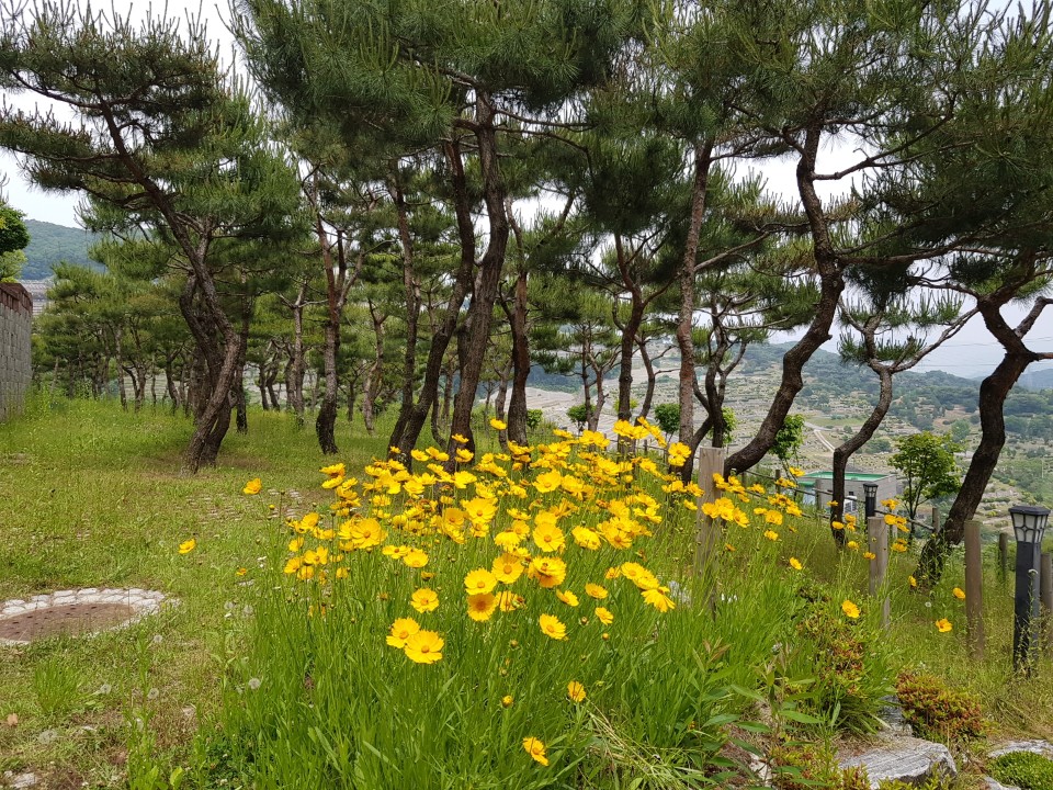 KakaoTalk_20190601_143322978.jpg