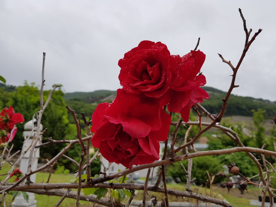 KakaoTalk_20190607_125117219.jpg
