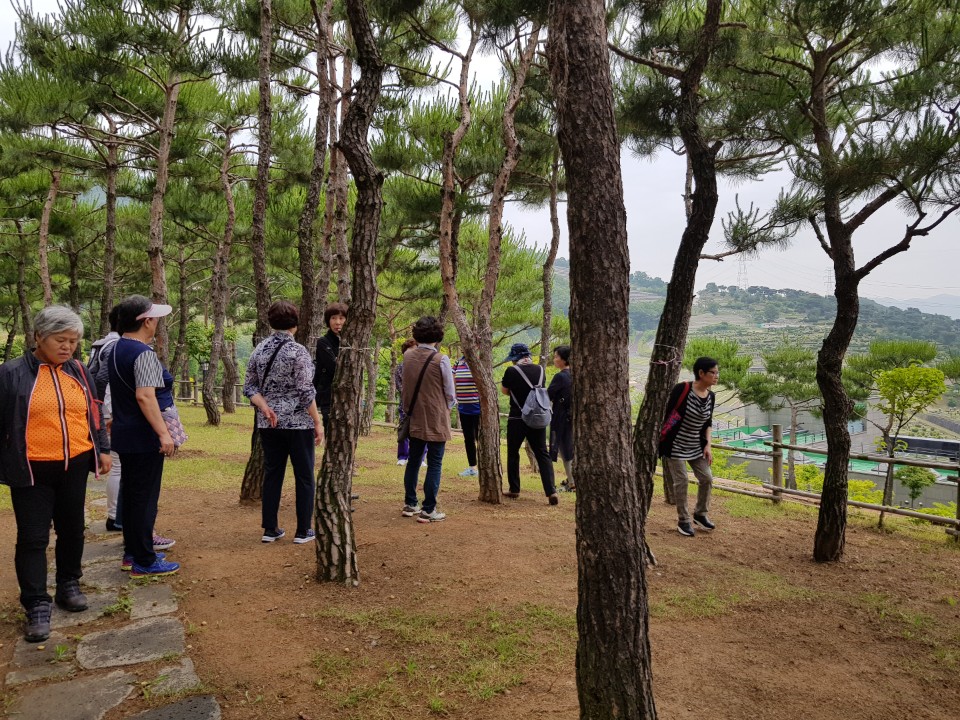 KakaoTalk_20190618_131417015.jpg