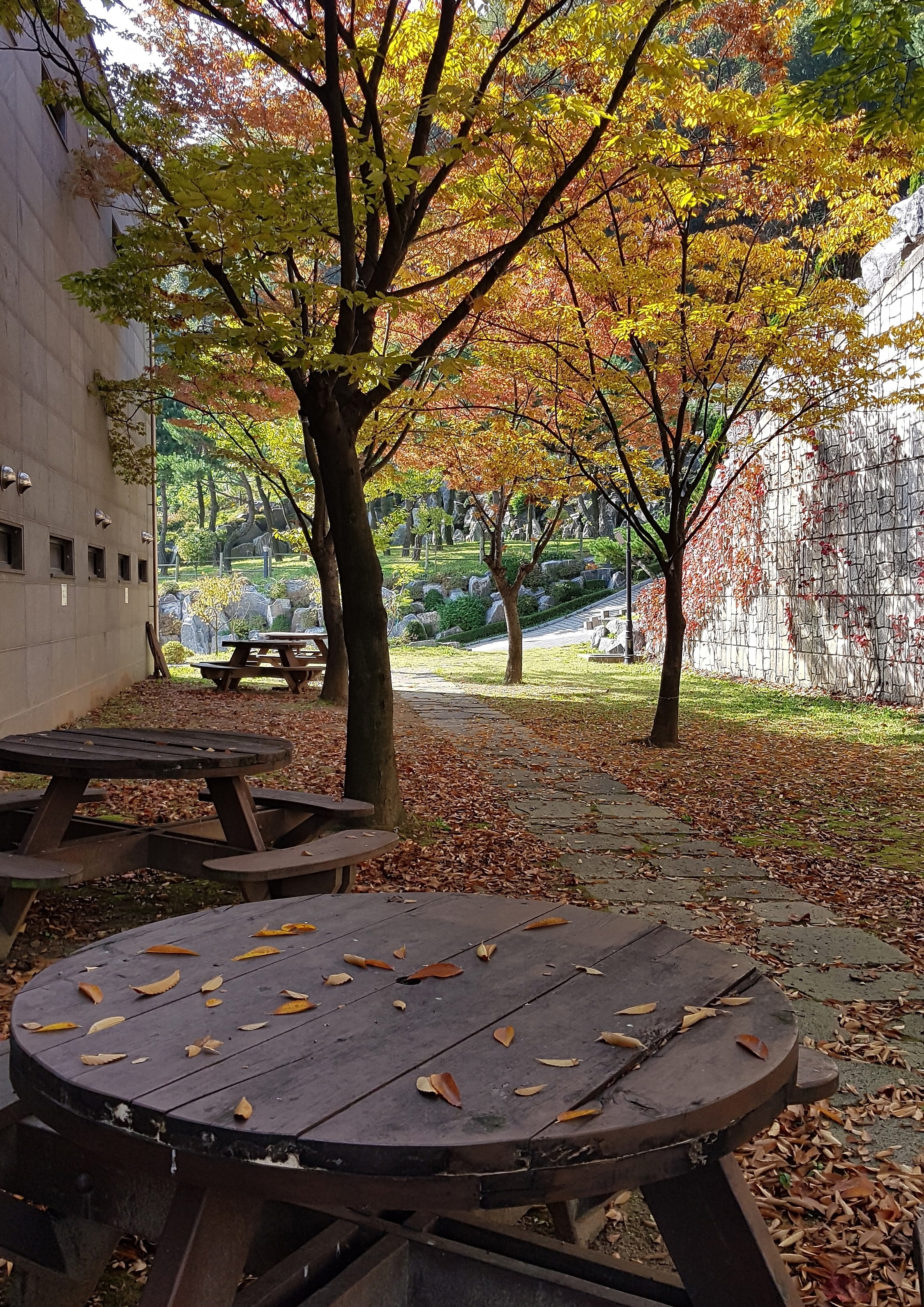 사본 -20191021_110216.jpg