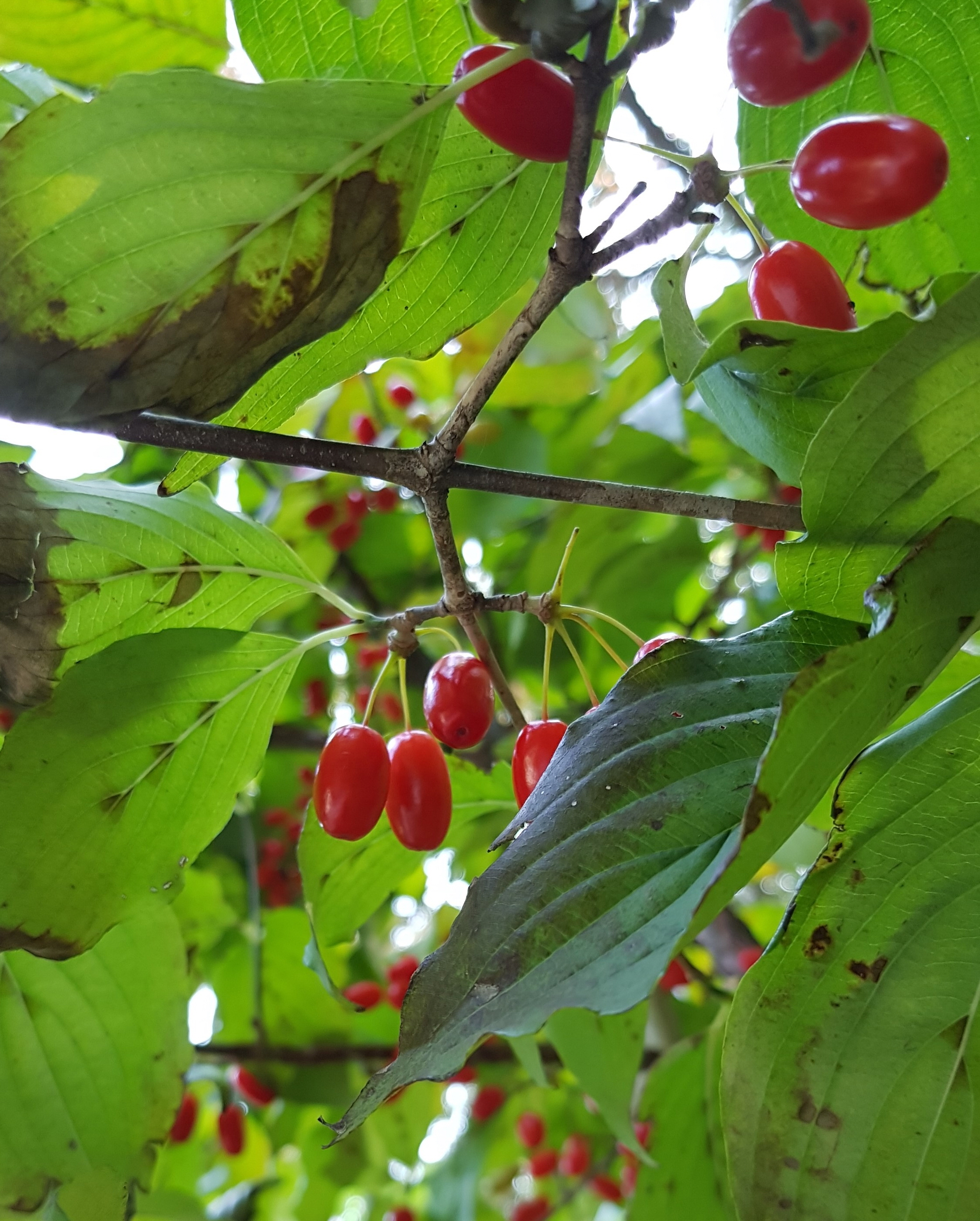 사본 -20191021_120404.jpg