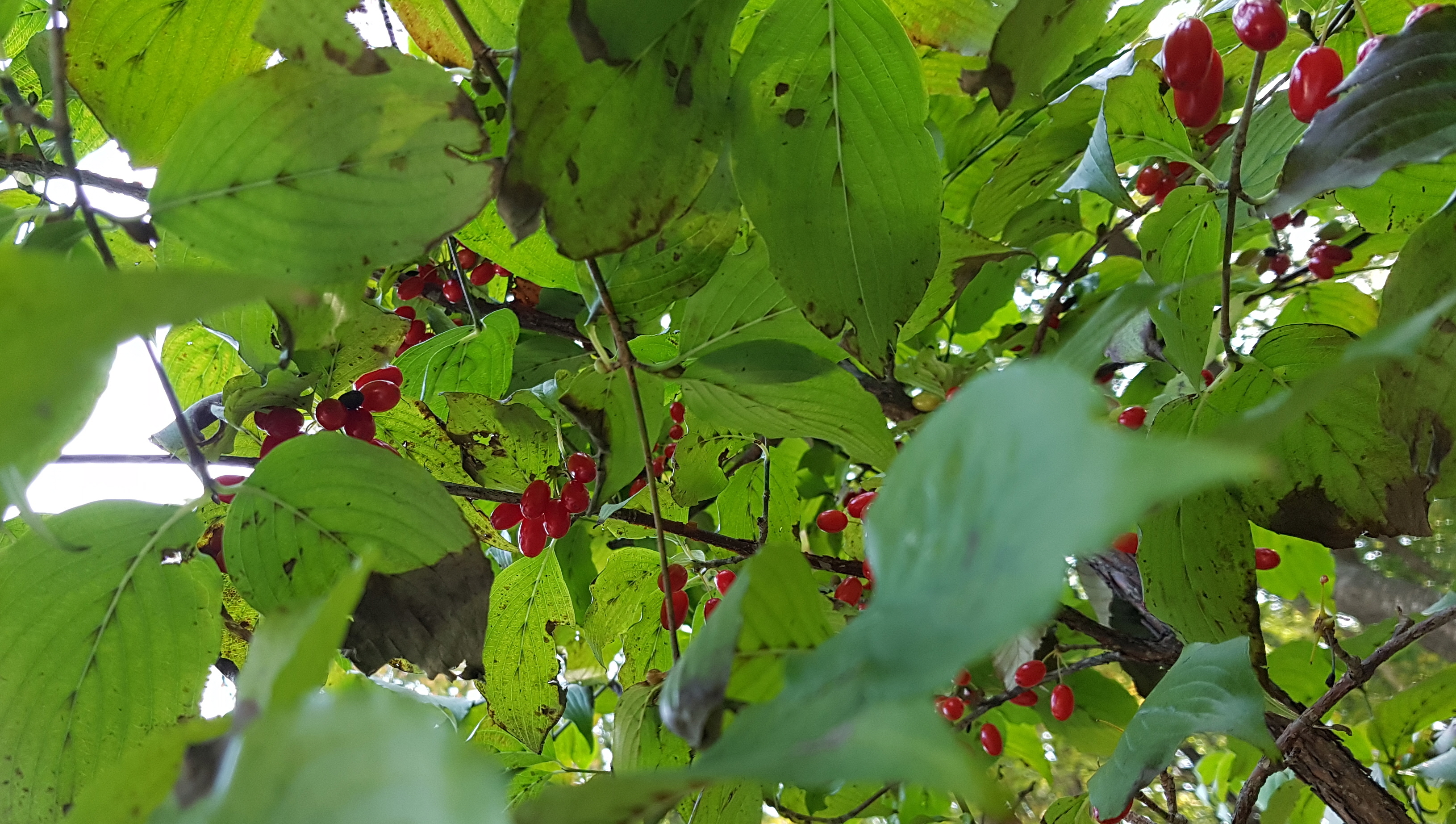 사본 -20191021_120421.jpg