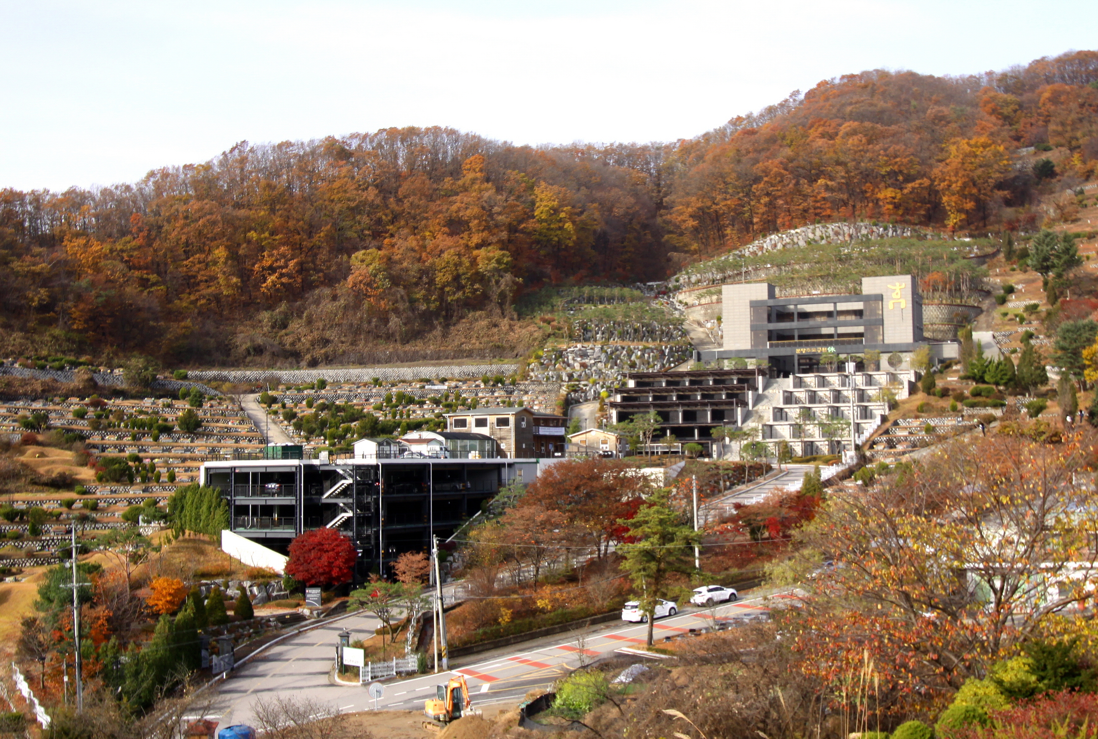 사본 -reIMG_9542.jpg