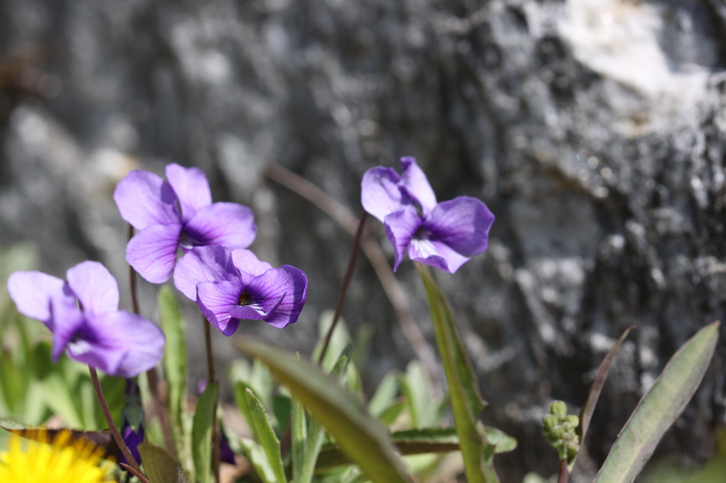 [크기변환]IMG_0256 - 복사본.JPG