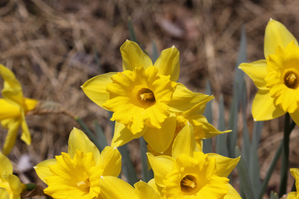 [크기변환]IMG_0271 - 복사본.JPG