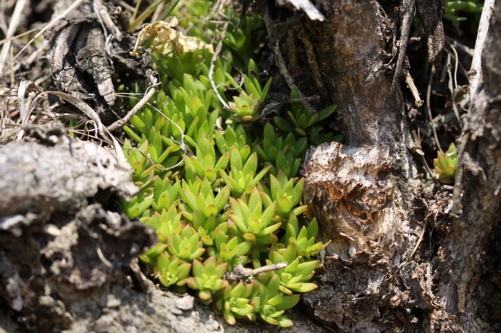 [크기변환]IMG_0279 - 복사본.JPG