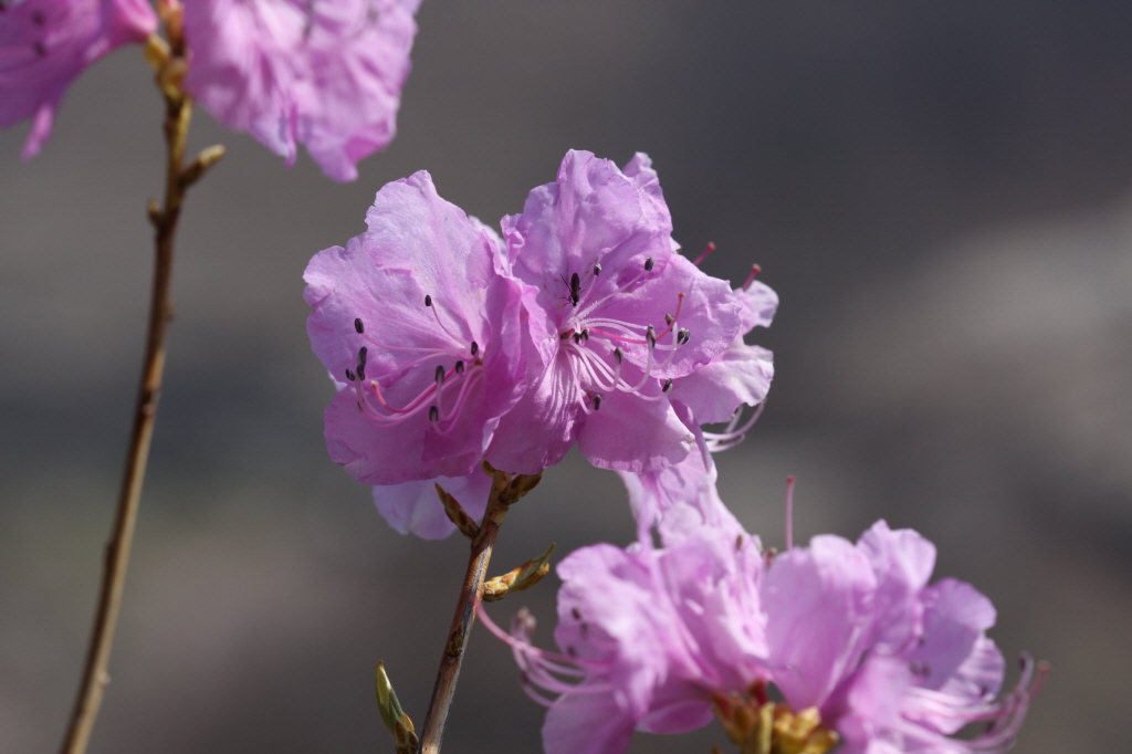 [크기변환]IMG_0262 - 복사본.JPG