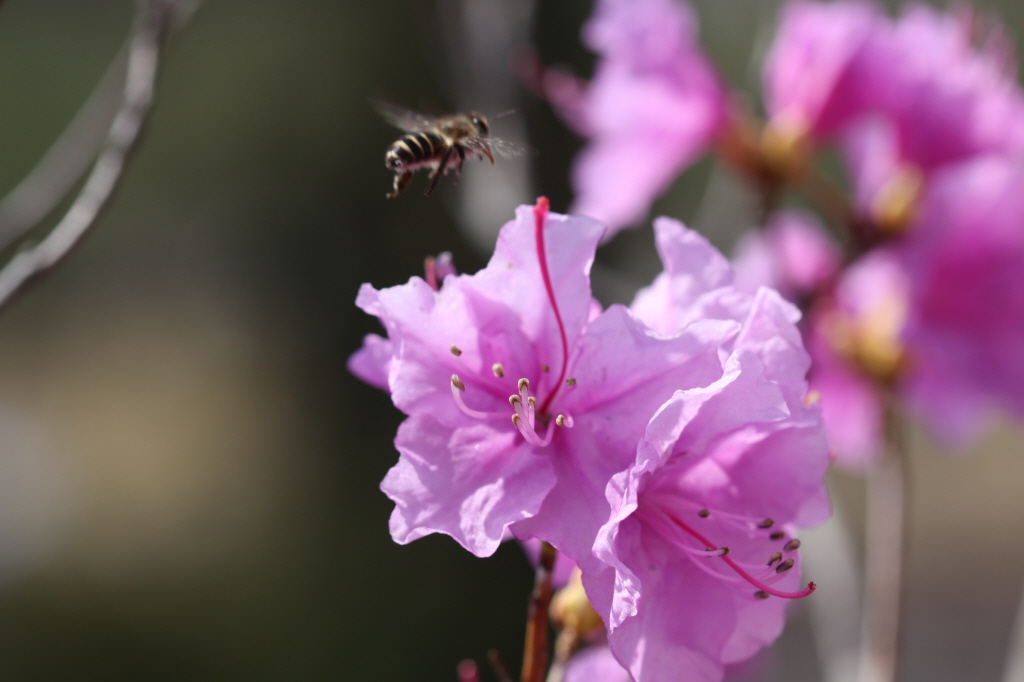 [크기변환]IMG_0277 - 복사본.JPG