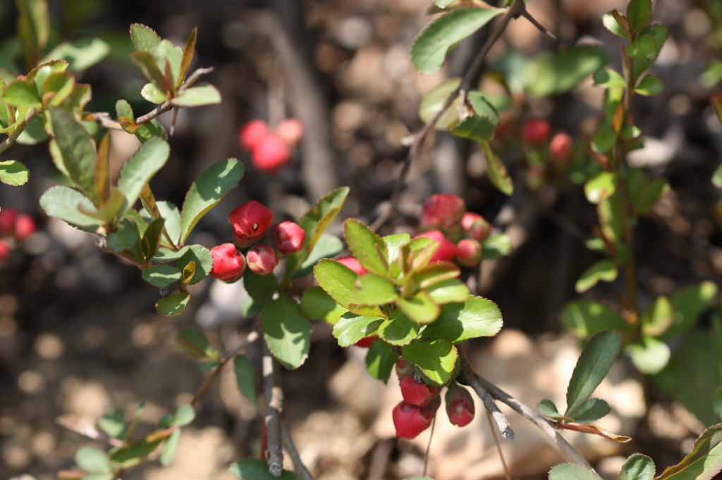 [크기변환]IMG_0298 - 복사본.JPG