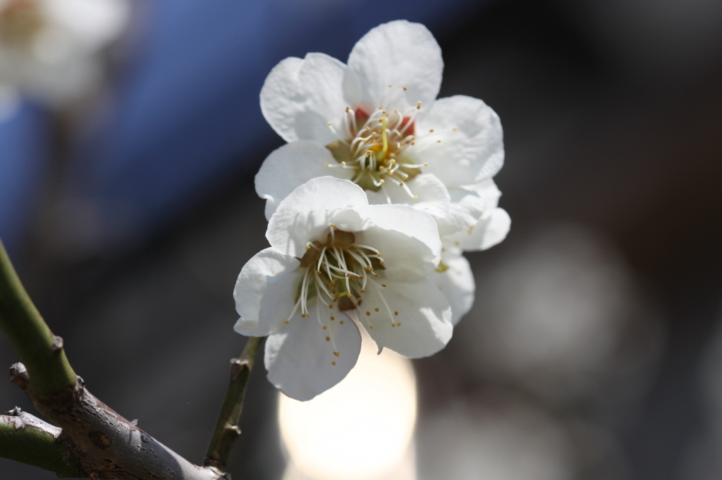 [크기변환]IMG_0240 - 복사본.JPG