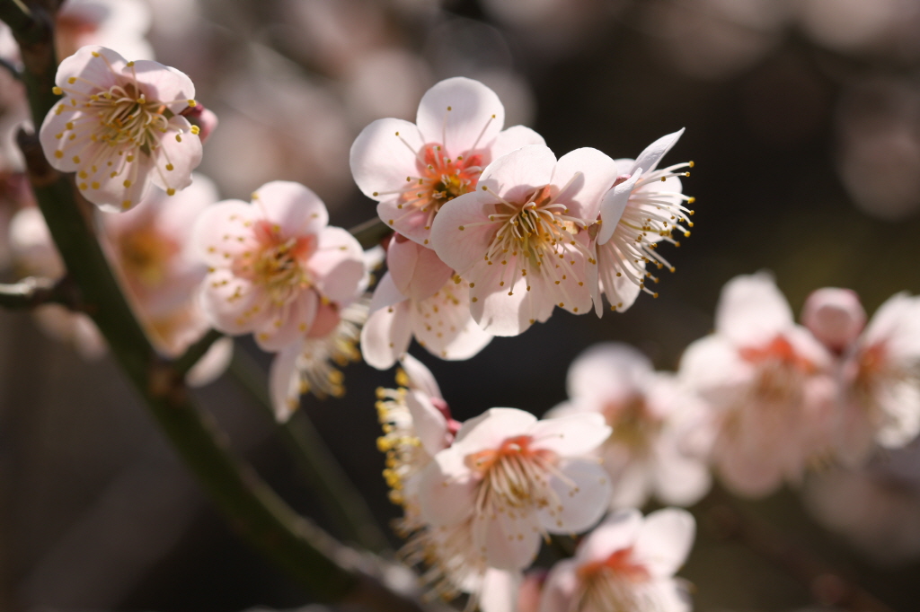 [크기변환]IMG_0258 - 복사본.JPG