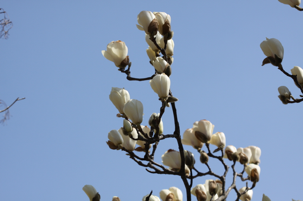 [크기변환]IMG_0296 - 복사본.JPG