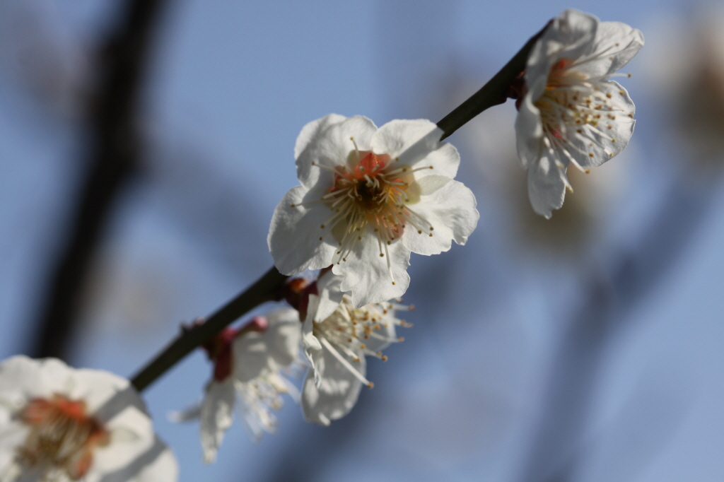 [크기변환]IMG_0220 - 복사본.JPG