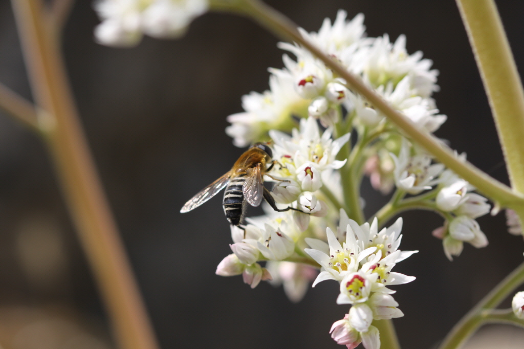 [크기변환]IMG_0231 - 복사본.JPG