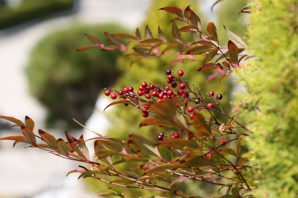 [크기변환]IMG_0245 - 복사본.JPG